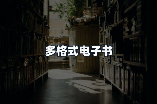 多格式电子书